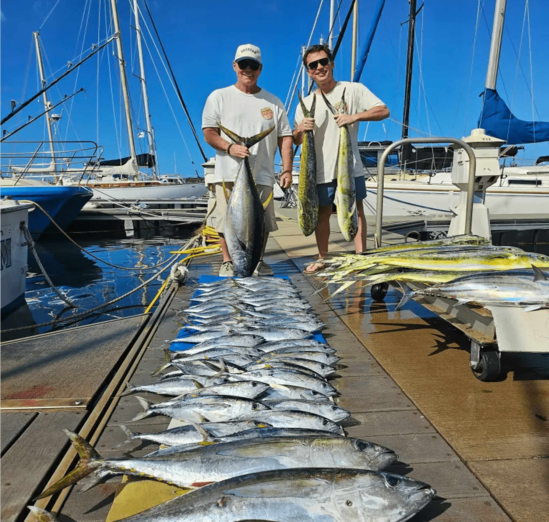 Large fish laid out on dock